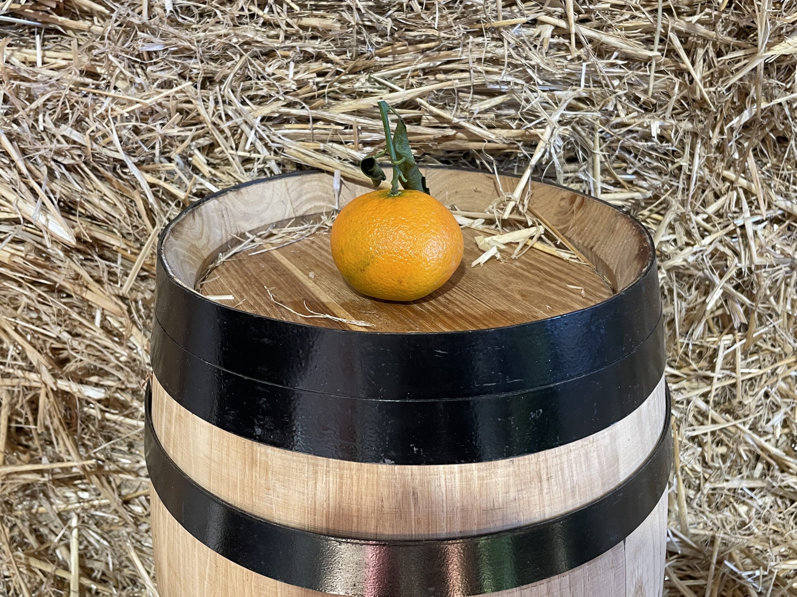 Tangerine Clementine