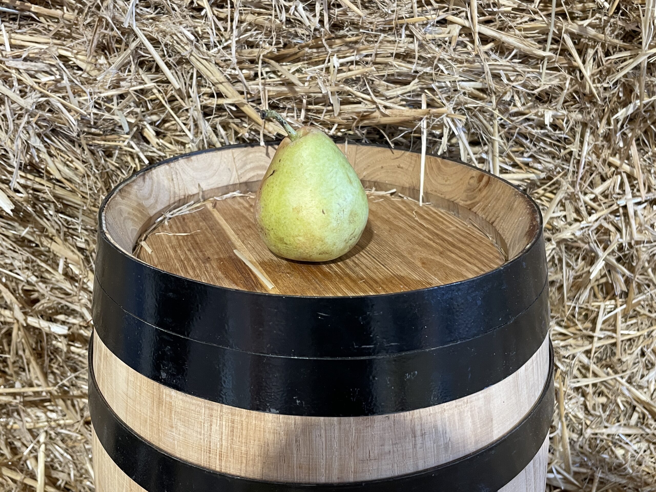 Pear Ercolina