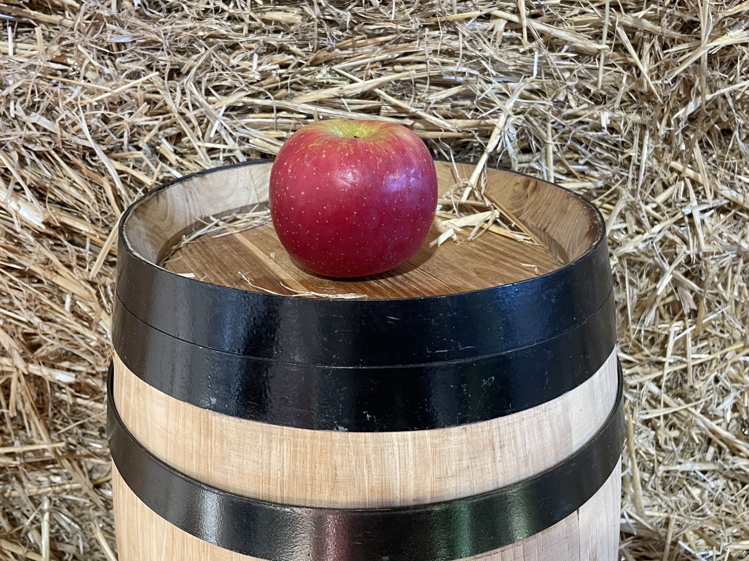 Fuji apple