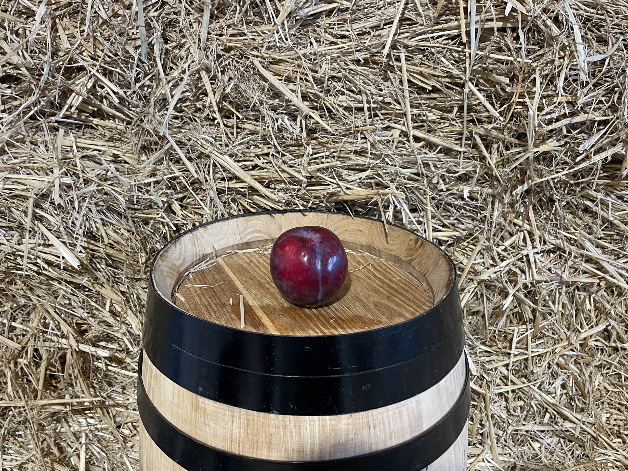 Red Plum