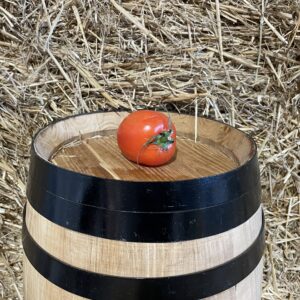 Tomato from Sucar d'Ullastrell